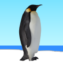 Летающий пингвин Icon