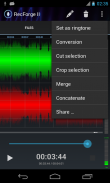 RecForge II Pro Audio Recorder screenshot 13