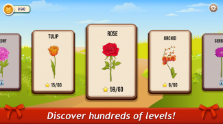 Solitaire TriPeaks Rose Garden: love flowers 2020 screenshot 1