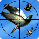 Bird Shooting Game: Shooter