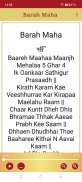 Barah Maha Audio screenshot 4