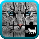 Cat Jigsaw Puzzle Icon