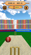 Bowled 3D - Cricket Game screenshot 14