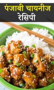 Punjabi Chinese Recipes in Hindi screenshot 3
