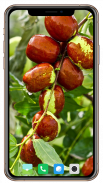 Fruit Trees Wallpaper HD screenshot 6