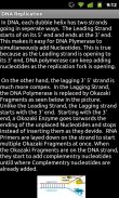DNA Replication screenshot 0