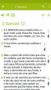 Bíblia Nova Versão screenshot 1