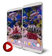 Aquarium 4K Live Wallpaper screenshot 1