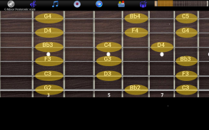 الغيتار المقاييس والحبال screenshot 6