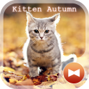 Kitten Autumn CatTheme Icon