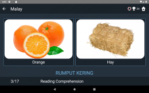 Malay Language Tests screenshot 18