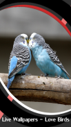 خلفيات حية - طيور الحب screenshot 0
