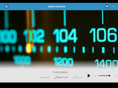 RADIO FM SUDAN screenshot 3
