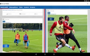 Hamburger SV screenshot 8