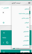 Network Translate, Google,Bing screenshot 6
