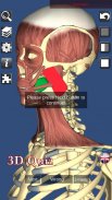 3D Bones and Organs (Anatomy) screenshot 0