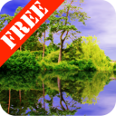 Forest Pond Free