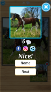 Horse Jigsaw Puzzle screenshot 6