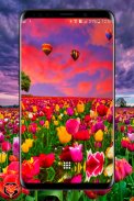 Flower Fields Live Wallpaper screenshot 11