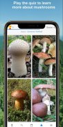 Mushroom Identify - Automatic picture recognition screenshot 1