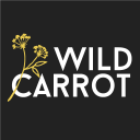 Wild Carrot Icon