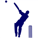 Street Cricket Calculator