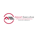 Airport Executive Icon