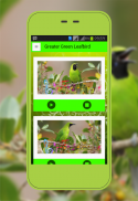 أكبر الخضراء Leafbird screenshot 0