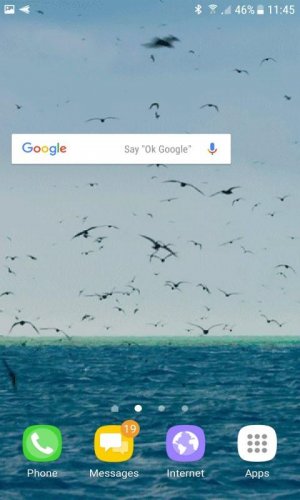 Ocean Birds Live Wallpaper 2 Download