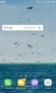 Ocean Birds Live Wallpaper screenshot 1