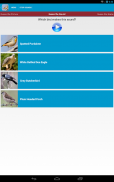 Australian Birds Sounds Free screenshot 13