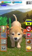 Talking Puppies - virtual pet dog to take care screenshot 5