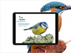 NABU Vogelwelt Vögel Bestimmen screenshot 11