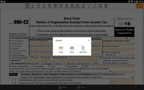 PDF Form 990 EZ for IRS: Sign Tax Digital eForm screenshot 4