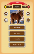 Horse Coat Colors Quiz screenshot 15