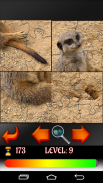 Puzzle Animals screenshot 1