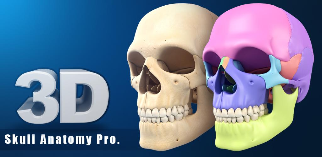 Anatomy pro. Детский череп исследование. BONEBOX Skull viewer APK.