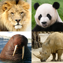 动物小测验 - 在动物园里学习所有的哺乳动物和鸟类！ Icon