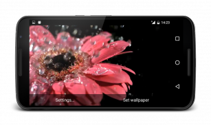 Raindrops on Flower Wallpaper screenshot 3