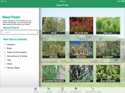 Woody Weeds for tablets screenshot 2