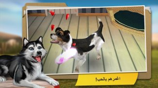 DogHotel - العب مع الكلاب screenshot 3