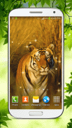 Tiger Fond d'écran Animé screenshot 4