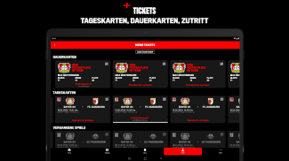 Bayer 04 Leverkusen screenshot 0