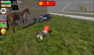 Simulador de gato piloto : monta en moto y caballo screenshot 4