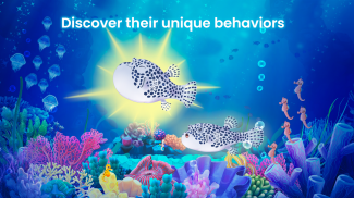 Splash: Fish Sanctuary screenshot 1