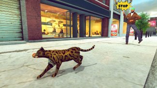 Cat Family Simulator Game screenshot 7