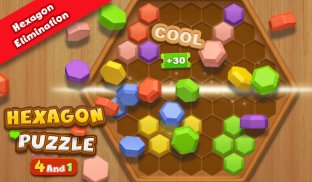 Hexagon Block Puzzle screenshot 5