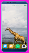 Giraffe Wallpaper screenshot 8