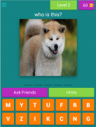 dog breeds quiz screenshot 9