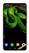 Snake Wallpaper HD screenshot 14